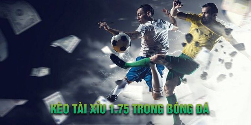 Thông tin phân tích tỷ lệ thắng kèo khi chơi tài xỉu tỷ lệ 1.75