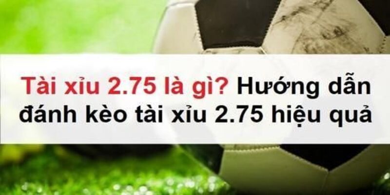 Tài Xỉu 2 ¾ - U888 Tiết Lộ Cách Đọc, Mẹo Đánh Kèo Bất Bại
