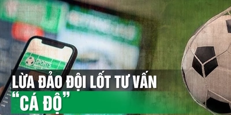 Tips Bóng Đá Lừa Đảo - Mua Mẹo Cá Cược Có Nên Hay Không